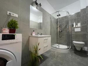 a bathroom with a shower and a sink and a toilet at Luxury Charming Apartments in Iaşi