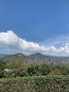 a view of some mountains with trees and bushes at Sierra Norte By Chic Hotel Group in Tepoztlán