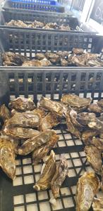 Billede fra billedgalleriet på MAISON DE CHARME AVEC JARDIN CLOS i Rivedoux-Plage + 28 billeder