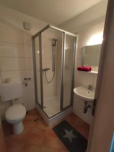 a bathroom with a shower and a toilet and a sink at Pension Sauerland in Winterberg