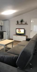 Green house, 1 bedroom & 1 kitchen apartment, located in Elbasan city center - Image 8