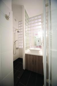 uma casa de banho com um lavatório e um espelho em Judy and Sandor Apartmen em Budapeste