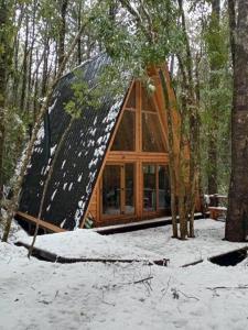 a glass dome house in the woods in the snow at Casa Aurora in Puerto Fuy