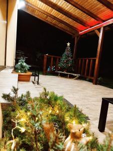 a christmas tree in a garden with a toy cat at Casa de vacanță Ayan in Hărman