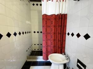 卡洛斯帕斯的住宿－DEPARTAMENTO ROCA，一间带卫生间和淋浴帘的浴室