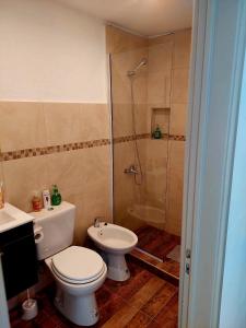 a bathroom with a toilet and a shower and a sink at Departamento playa bonita Bariloche in San Carlos de Bariloche