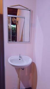 a bathroom with a white sink and a mirror at Alpha Arenal in Fortuna