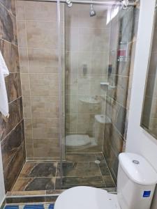 een badkamer met een douche en een toilet bij Aparta Estudio Completo - Ibagué - parqueadero para MOTO - Bambú in Ibagué
