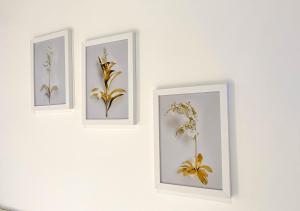 Fotografie z fotogalerie ubytování News Hospedagem v destinaci Paraty