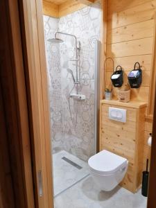 ein Badezimmer mit Toilette und Dusche in der Unterkunft Holiday house with a parking space Belaj, Karlovac - 20275 in Duga Resa