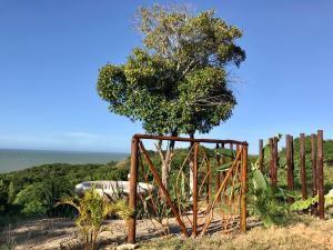a tree in a metal frame next to a fence at Kamajorú Ecohabitat in Tubará