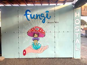 Galería fotográfica de Fungi Tipis en Tepoztlán