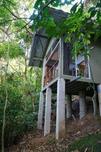 a tree house in the middle of a forest at Luz En El Cielo Eco-B&B/Hostel in Montezuma