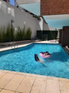 un perro está flotando en una piscina en 3 amb Abadia cochera techada SOLO CON RESERVA en Buenos Aires