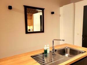 eine Küchentheke mit einem Waschbecken und einem Spiegel in der Unterkunft Brand new CAMELIA ROOM with private bathroom in Brüssel