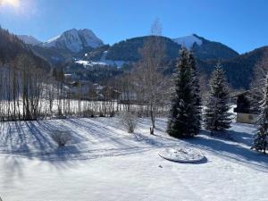 a snow covered field with trees and mountains at Appartement rénové avec Multi Pass offert, proche du centre du village ! - FR-1-692-13 in Abondance +5 photos