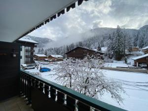 Obiekt Studio cosy avec Multi Pass, à 100m des remontées Linga, garage et WiFi inclus, idéal ski et été - FR-1-693-82 zimą