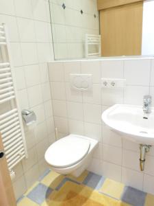ein Bad mit einem WC und einem Waschbecken in der Unterkunft Sagmeister Loft in Jenig