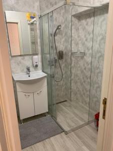 a bathroom with a shower and a sink at Apartament Carolina Parc in Alba Iulia +69 photos