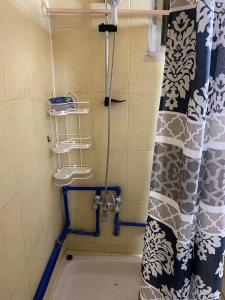 a bath tub with a shower curtain in a bathroom at MiaDa’bia in Madaba