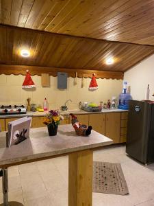 a kitchen with a counter and a refrigerator at MiaDa’bia in Madaba