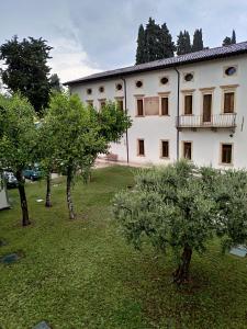 Zahrada ubytování Domus San Bernardino