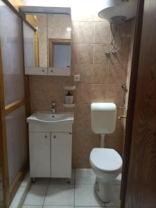Bilik mandi di Guest House Vila Alexandar