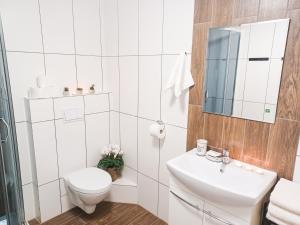 a white bathroom with a toilet and a sink at Apartament LABA in Sosnówka +40 photos