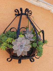 a flower pot hanging on the side of a wall at Apartment Karla in Gornji Karin