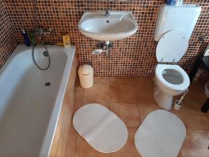 a bathroom with a toilet and a sink and a tub at Apartment Karla in Gornji Karin +2 photos