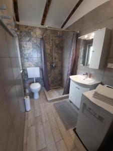 a bathroom with a toilet and a sink and a shower at Apartments Novum in Novi Vinodolski