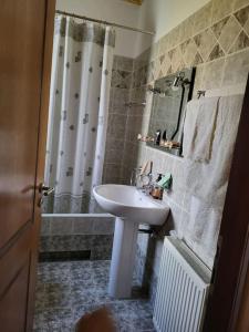 uma casa de banho com um lavatório e um chuveiro em Παραδοσιακό Αρχοντικό με Τζάκι em Valtessiniko