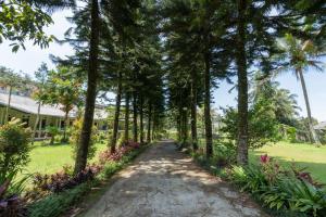 Ein Garten an der Unterkunft Urbanview Hotel Griya Astoeti 2 Cisarua Puncak
