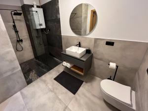 a bathroom with a toilet and a sink and a mirror at Apartamenty Warowna 2 in Pszczyna