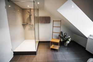a attic bathroom with a shower and a ladder at Hotel & Restaurant Rizzelli Superior in Neustadt an der Aisch +71 photos