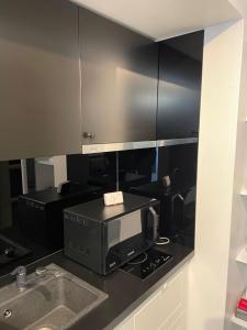 eine Küche mit Mikrowelle und Spüle in der Unterkunft Luxury City Studios in Curtea de Argeş