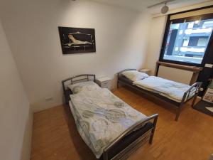 2 Einzelbetten in einem Zimmer mit Fenster in der Unterkunft Fully Equipped Apartment in Zweibrücken