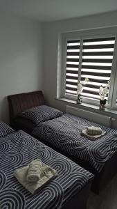 Postelja oz. postelje v sobi nastanitve Apartament Zdrojowy II
