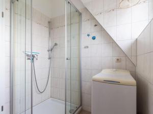 a bathroom with a shower and a toilet at Ferienhaus To Hus in Vieregge