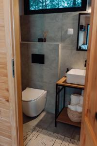 a bathroom with a toilet and a sink at Na skraju gaju in Purda