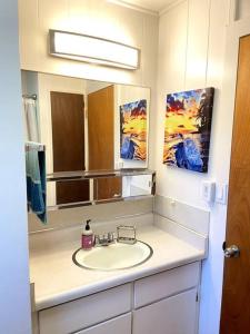 a bathroom with a sink and a mirror at THE HILO HOMEBASE - Charming 3 Bedroom Hilo Home, with AC! in Hilo
