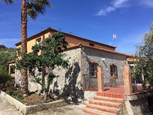 een stenen huis met een palmboom ervoor bij Casa Rosalejo by CasaTuristica in Ronda