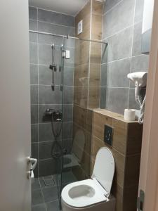 ein Bad mit einem WC und einer Glasdusche in der Unterkunft Studio Lena 1 in Divčibare