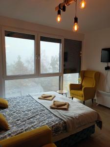 Schlafzimmer mit einem Bett, einem Stuhl und Fenstern in der Unterkunft Studio Lena 1 in Divčibare