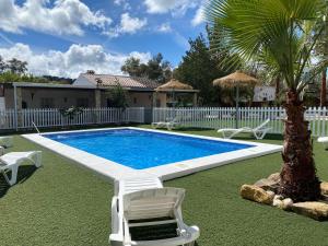 a swimming pool with two chairs and a palm tree at PaperoDor in Prado del Rey