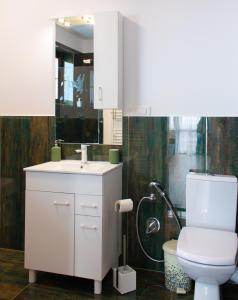 ein Badezimmer mit einem weißen WC und einem Waschbecken in der Unterkunft Vila Sol in Prejmer