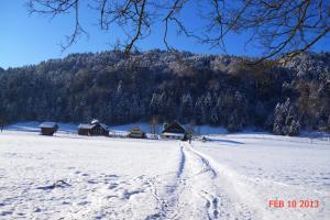 B&B Hofstetter during the winter