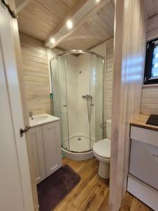 uma casa de banho com um chuveiro e um WC. em Apartamenty EverySky - Domek Koło Karpacza em Myslakowice