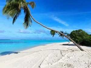 Un paisaje natural cerca de la casa de huéspedes