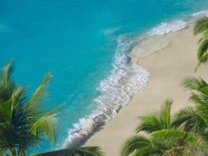 - une vue aérienne sur une plage bordée de palmiers dans l'établissement PAPAYAS SELF catering ROOM, à Victoria